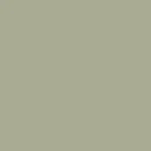 Lapalma powder coating swatch, muted earthy green, matte finish; uniform color for architectural and interior design applications.